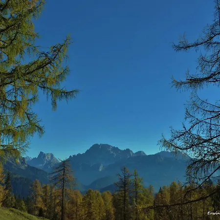 Apartman Licia Falcade