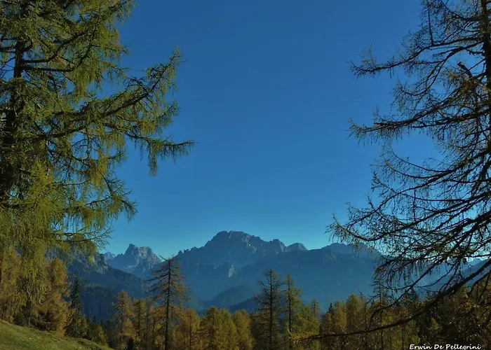 Apartamento Licia Falcade